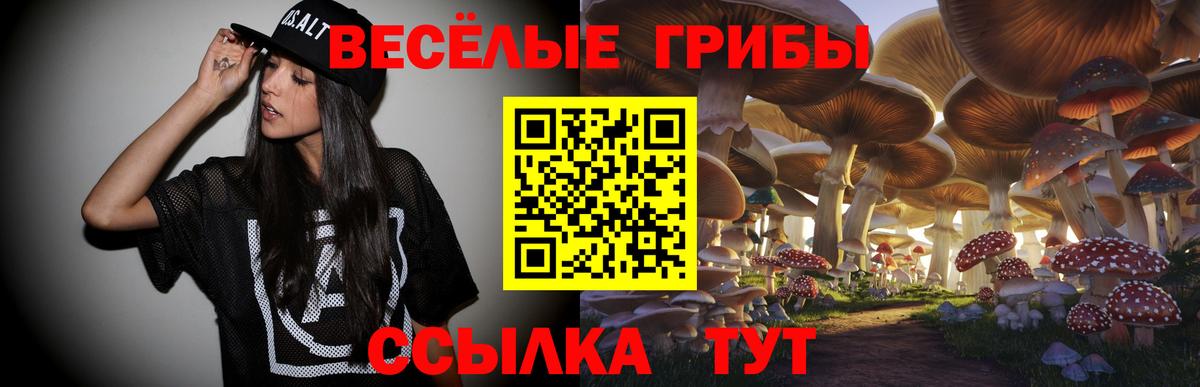 Новороссийск  Галлюциногенные грибы мицелий  закладки  Вход с VPN 